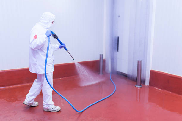 Best Sidewalk and Walkway Cleaning  in Enochville, NC